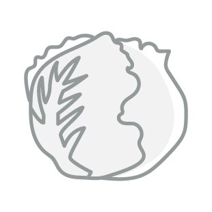 Lettuce, Iceberg