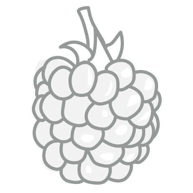 Blackberries, Fresh